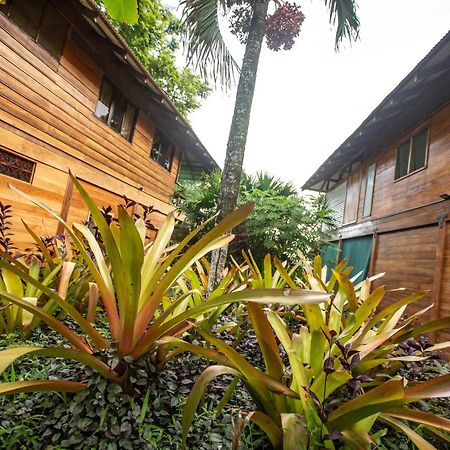 Villas Serenidad Puerto Viejo de Talamanca Экстерьер фото